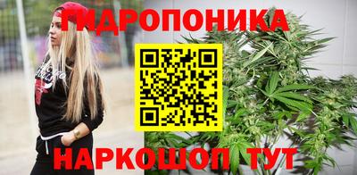 молекула духа Жуковский