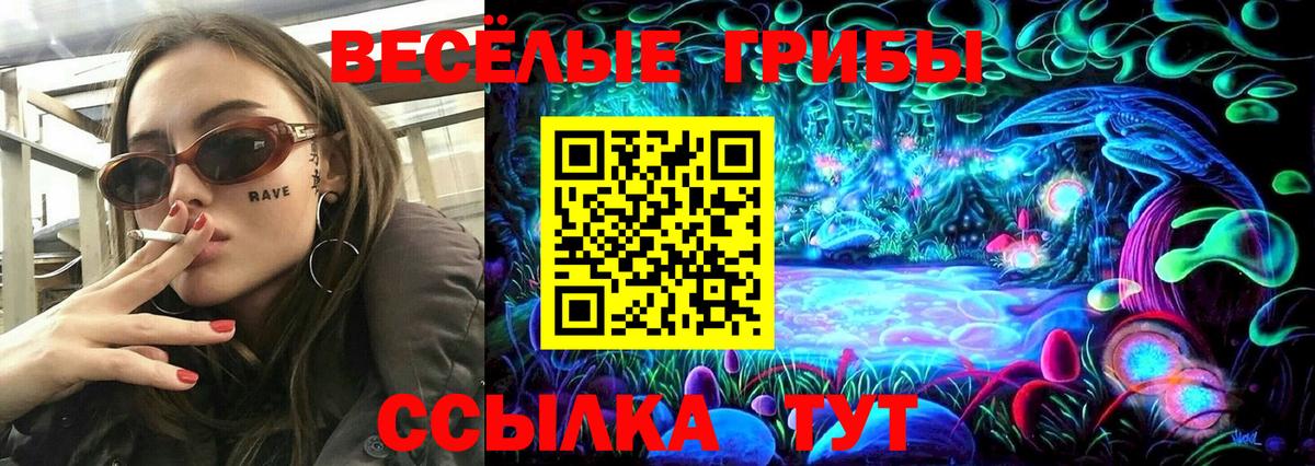 Назарово  купить закладку  Вход с VPN  Псилоцибиновые грибы Psilocybine cubensis 
